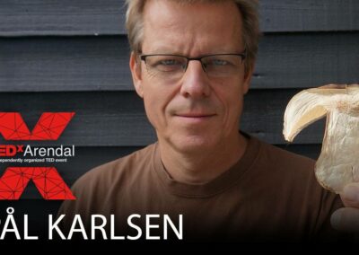 Pål Karlsen (2015)