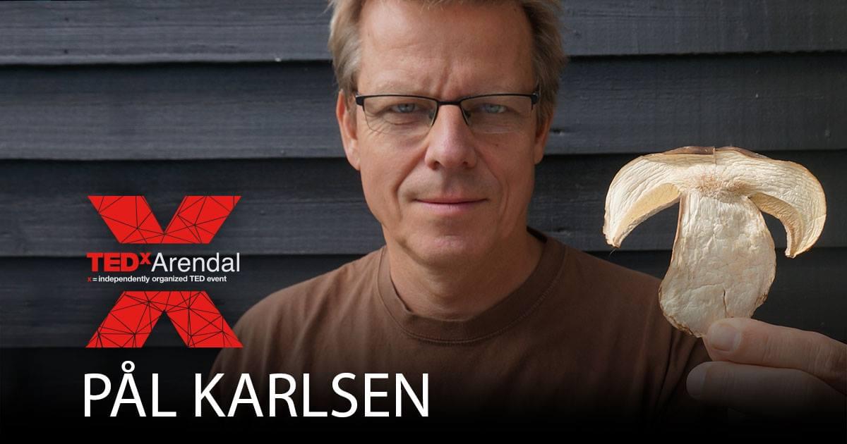 Pål Karlsen Pål Karlsen